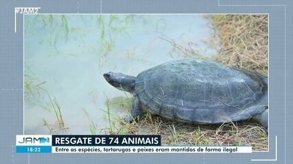 Resgate de 74 animais em Manaus; tartarugas e peixes eram mantidos ilegalmente