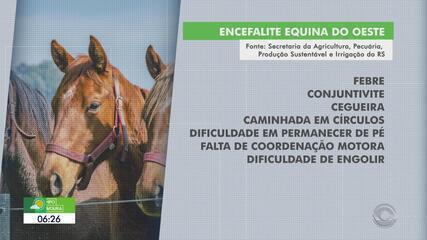 Encefalite equina é confirmada no Rio Grande do Sul Encefalite equina é confirmada no Rio Grande do Sul