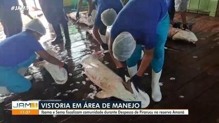 Ibama e Sema fiscalizam área de manejo de pirarucu Ibama e Sema fiscalizam área de manejo de pirarucu