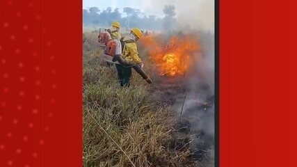 Mais de 30 brigadistas atuam para conter incêndios em terra indígena no sul do AM Mais de 30 brigadistas atuam para conter incêndios em terra indígena no sul do AM