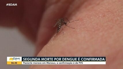 Manaus registra 1ª morte por dengue em 2025; é o 2º caso no AM neste ano, aponta FVS