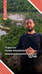 COP30 - O que é o Fundo Amazônia? COP30 - O que é o Fundo Amazônia?