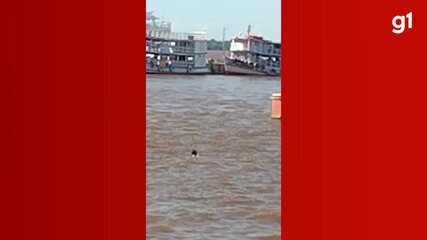 Homem desaparece após se jogar no Rio Amazonas em Parintins Homem desaparece após se jogar no Rio Amazonas em Parintins