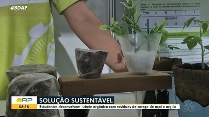 Estudantes do Amapá desenvolvem tubete orgânico com resíduos de caroço de açaí e argila Estudantes do Amapá desenvolvem tubete orgânico com resíduos de caroço de açaí e argila