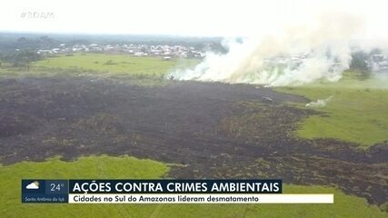Cidades no Sul do Amazonas lideram desmatamento Cidades no Sul do Amazonas lideram desmatamento