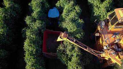 Empresas de médio porte sentem o impacto das tarifas de exportação para os Estados Unidos