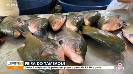 Feira do Tambaqui em Manaus: mais de 9 toneladas de peixe
