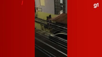 Mulher é arrastada pelos cabelos e agredida com socos em Manaus