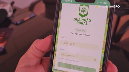 Rurap lança o aplicativo para monitorar praga em plantações de mandioca no Amapá Rurap lança o aplicativo para monitorar praga em plantações de mandioca no Amapá