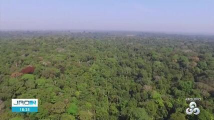 Dia da Amazônia: povo indígena Paiter Suruí concilia preservação com economia sustentável Dia da Amazônia: povo indígena Paiter Suruí concilia preservação com economia sustentável