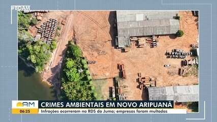 Empresas cometem crimes ambientais em reserva sustentável no Amazonas Empresas cometem crimes ambientais em reserva sustentável no Amazonas