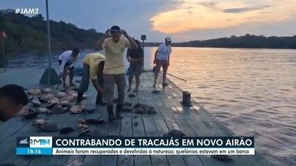 117 quelonios são apreendidos no Parque Nacional do Jaú