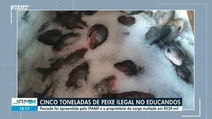 Cinco toneladas de peixe ilegal apreendidas no Educandos; proprietário multado R$ 30 mil Cinco toneladas de peixe ilegal apreendidas no Educandos; proprietário multado R$ 30 mil