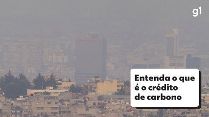 Entenda o que é o crédito de carbono