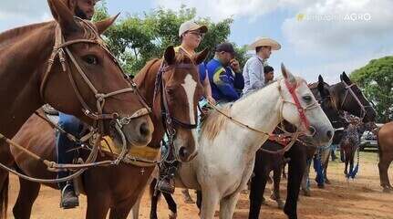Cavalgada reúne vaqueiros e produtores na região do Paredão em Alto Alegre Cavalgada reúne vaqueiros e produtores na região do Paredão em Alto Alegre