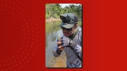 Vídeo mostra piranhas devorando peixe capturado por influenciador no Rio Aripuanã no AM Vídeo mostra piranhas devorando peixe capturado por influenciador no Rio Aripuanã no AM