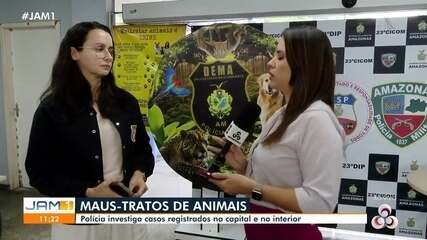Polícia investiga casos de maus-tratos de animais em Manaus e no interior do AM Polícia investiga casos de maus-tratos de animais em Manaus e no interior do AM