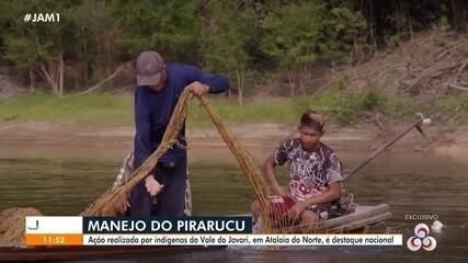 Manejo do pirarucu: ação realizada por indígena do Vale do Javari é destaque Manejo do pirarucu: ação realizada por indígena do Vale do Javari é destaque