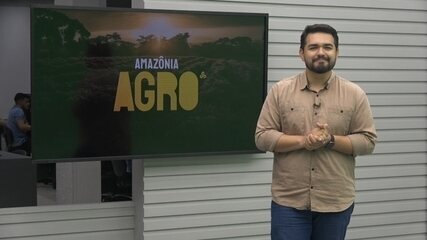 Amazônia Agro de domingo, 12 de outubro de 2025
