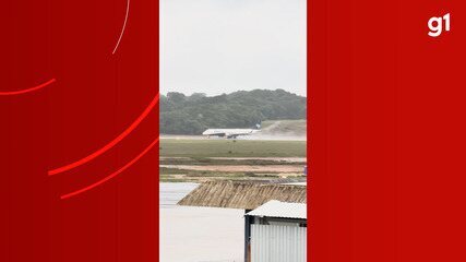 Avião colide contra pássaros e faz pouso de emergência no aeroporto de Manaus Avião colide contra pássaros e faz pouso de emergência no aeroporto de Manaus