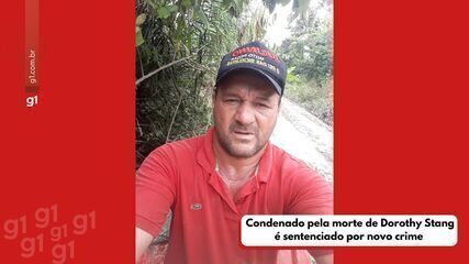 Imagens de operação da PF mostram desmatamento e ocupação em terras públicas