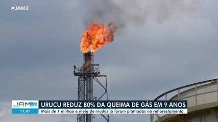 Urucu reduz 80% da queima de gás em 9 anos e amplia ações de reflorestamento