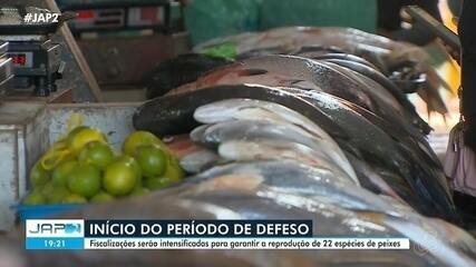 Fiscalizações são intensificadas para garantir reprodução de pescados durante o defeso