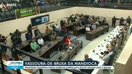 Assembleia Legislativa realiza audiência pública para discutir praga da mandioca