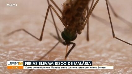 Casos de malária aumentam em Manaus entre junho e setembro, alerta Semsa