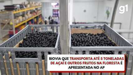 Biovia que transporta até 5 toneladas de açaí é apresentada no AP