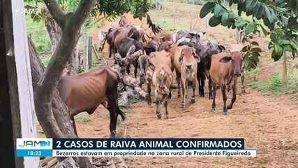 Dois casos de raiva animal são registrados em Presidente Figueiredo