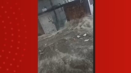 Chuva forte alaga ruas, derruba árvores e causa apagões em Manaus