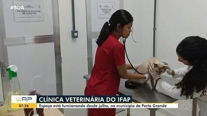 Clínica veterinária do Ifap está em funcionamento desde julho em Porto Grande