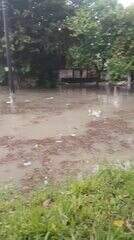 Chuvas intensas causam alagamentos em Manaus nesta quarta-feira