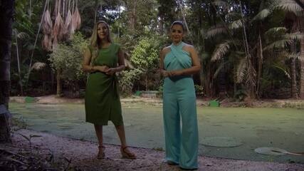 Retrospectiva 2025 no Amazonas