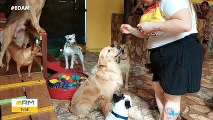 Procura por hotéis para Pet aumenta no período de férias, em Manaus