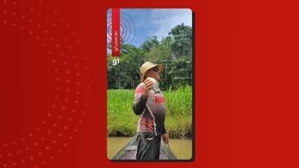 VÍDEO: Gavião ajuda pescadores a achar cardumes em lagos do AM e ganha recompensa