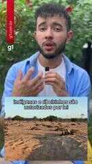 Conheça um dos poucos povos do Brasil autorizados a comer tartarugas e tracajás