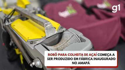 Robô para colheita de açaí começa a ser produzido em fábrica inaugurada no Amapá