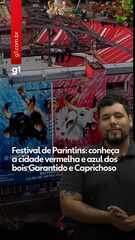 Festival de Parintins: conheça a cidade vermelha e azul dos bois Garantido e Caprichoso