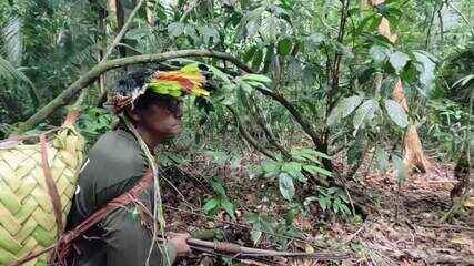 Fantástico mostra a ameaça aos indígenas isolados que não têm terra demarcada