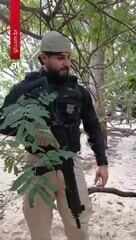 Polícia apreende meia tonelada de drogas enterradas em areia no interior do AM