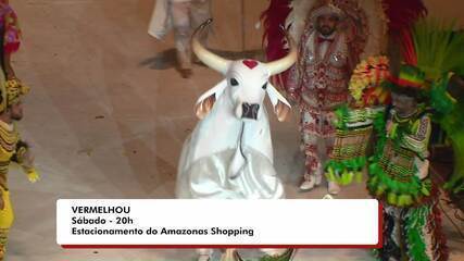 Agenda cultural tem estreias no cinema, blocos de carnaval e festa no interior