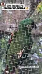 Arara batizada de Isabelle Nogueira é apresentada à ex-BBB durante visita ao Cigs