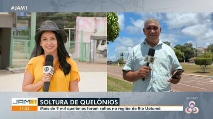 Mais de 9 mil quelônios são soltos no Rio Uatumã em Presidente Figueiredo