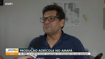Produção de arroz e feijão recua, mas safra da soja cresce quase 30% no Amapá, mostra IBGE
