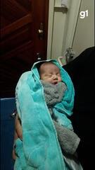 Recém-nascido é salvo dentro de cooler durante naufrágio no Encontro das Águas em Manaus