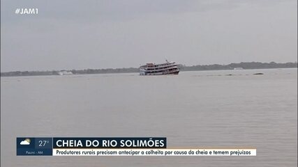 Produtores rurais precisam antecipar colheita por causa da cheia do Rio Solimões no AM
