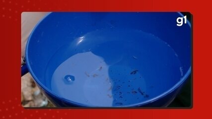 FVS alerta para aumento de casos de dengue no Amazonas