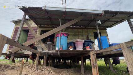 Fenômeno 'terras caídas' avança no interior do AM e moradores se unem para deslocar casas